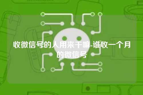 收微信号的人用来干嘛-谁收一个月的微信号