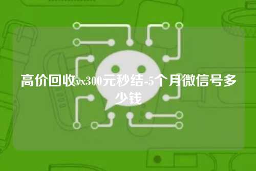 高价回收vx300元秒结-5个月微信号多少钱